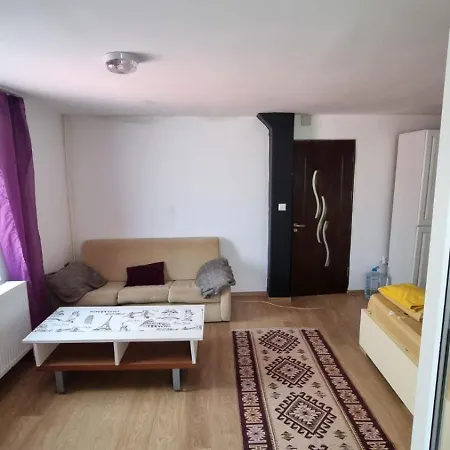 Apartman Iris Spacious *